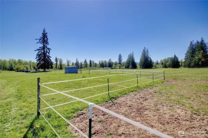 Fenced pasture areas with shelters.