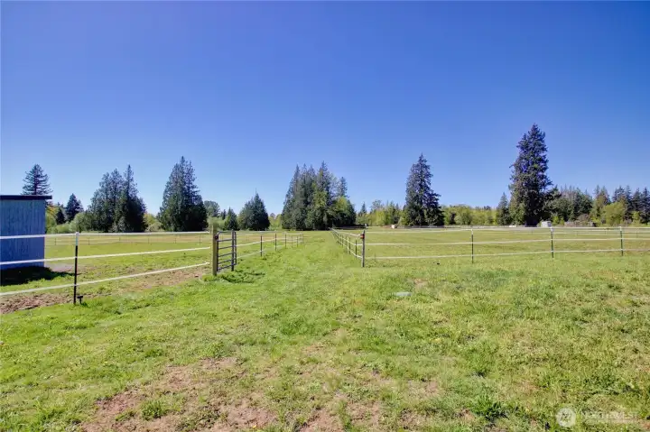 Walkway between 2 fenced pastures.
