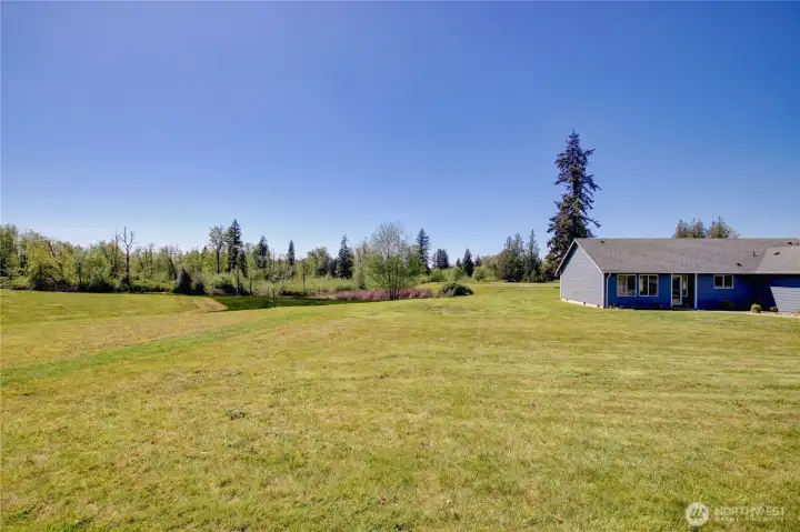 Looking across the yard and property.
