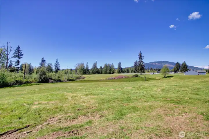 Looking from the barn back towards the house.