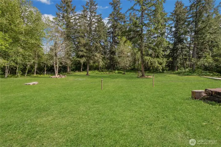 back yard