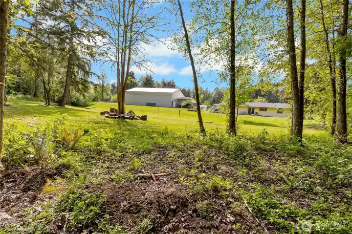 Paths, trees on property