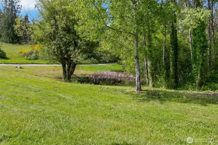 Seasonal pond on property, drys up in the summer
