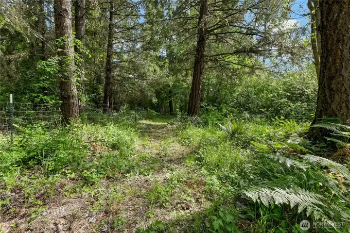 Paths on property