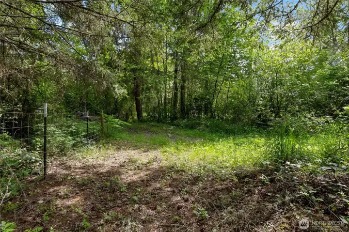 Wooded setting in back