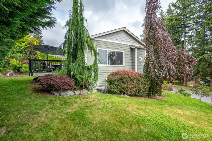 Side Yard
