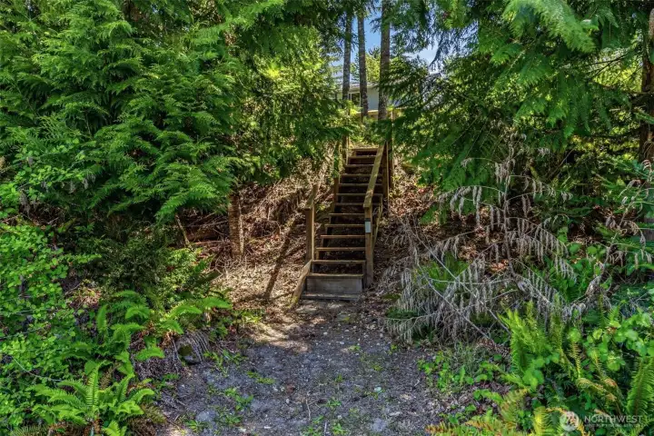 stairs to lower half of property