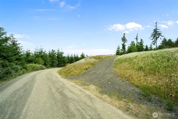 Driveway Driveway