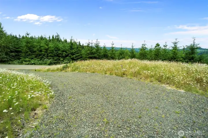 Driveway Driveway