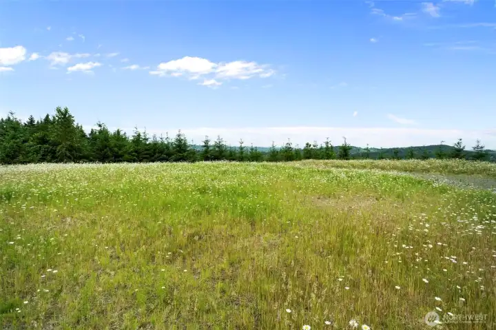 Homesite Homesite