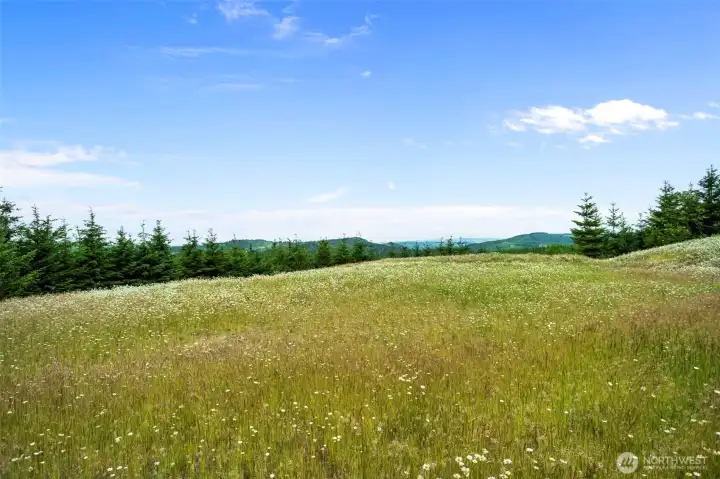Homesite Homesite