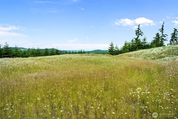 Homesite Homesite