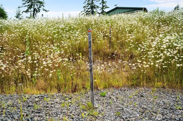 Homesite Homesite