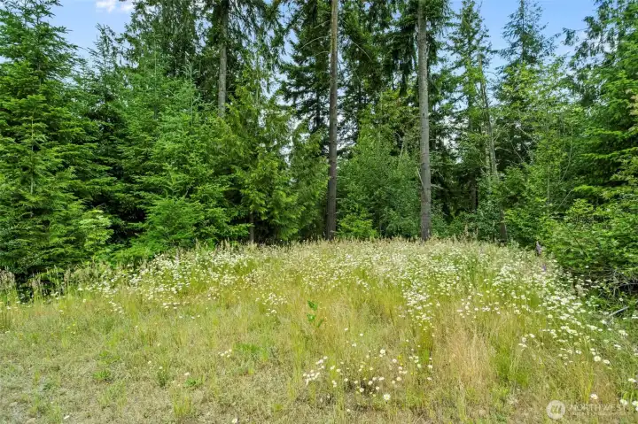 Acreage Acreage