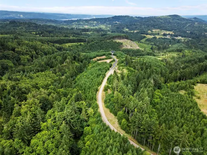 Aerial View Aerial View