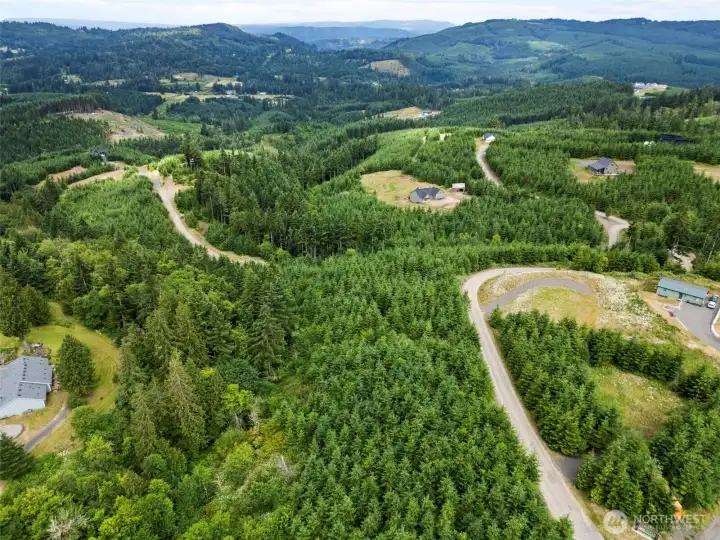Aerial View Aerial View