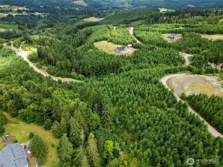 Aerial View Aerial View