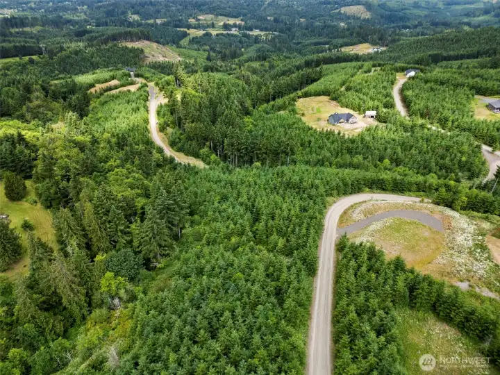 Aerial View Aerial View