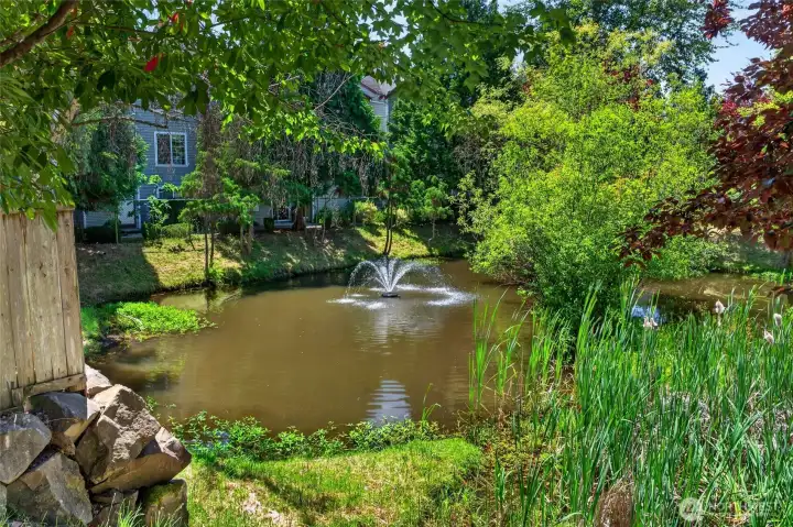 Take a walk and enjoy the serenity of the pond