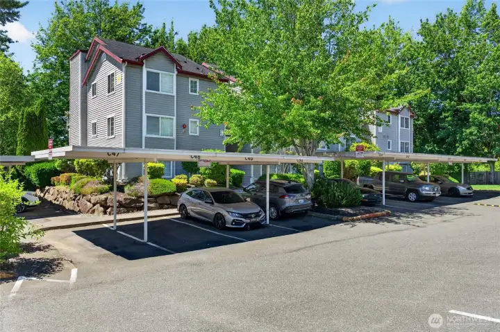 carport covered assigned parking, plus tons of extra guest parking space
