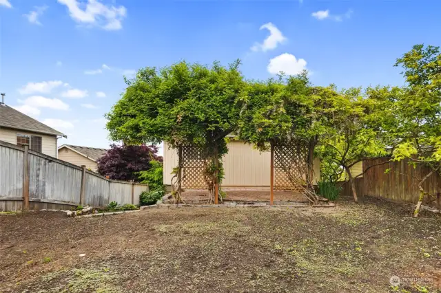 4 Fruit trees include Persimmons and Plums. Grapes along rear fence.