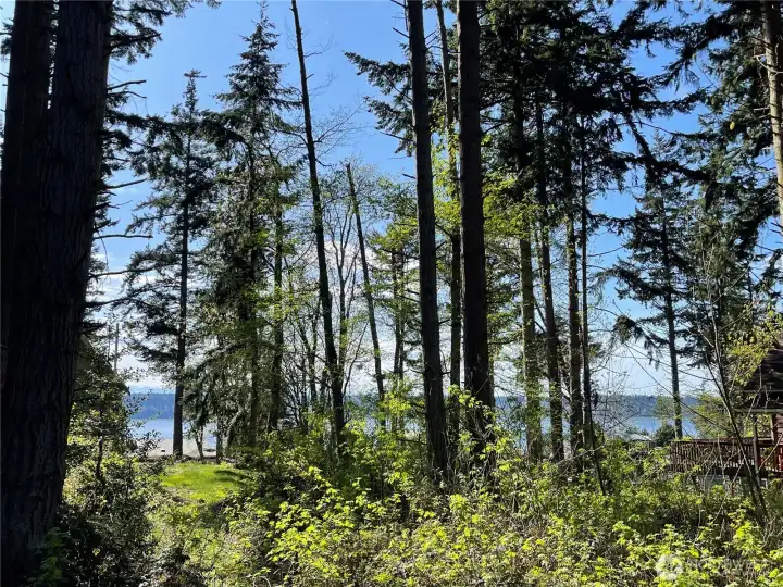 Westerly view will give you amazing sunsets