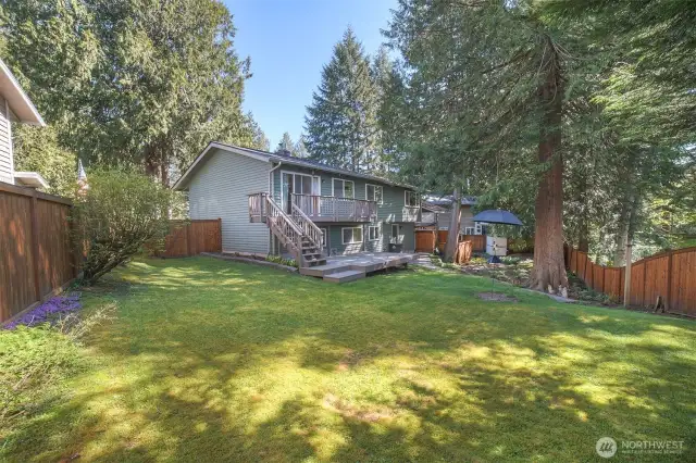 Large back yard, again