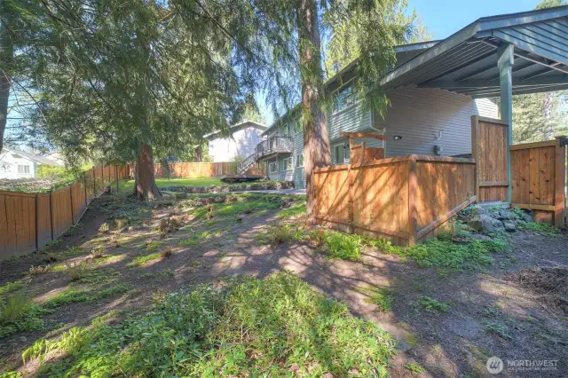 Back yard, completely fenced