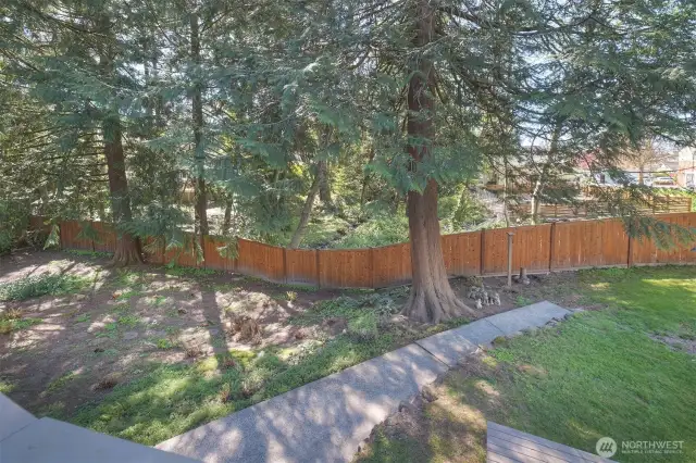 Large back yard with sidewalks