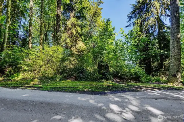 Paved road to the property.