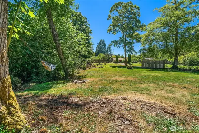 Large green lawn