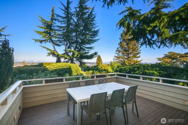Viewing deck off kitchen