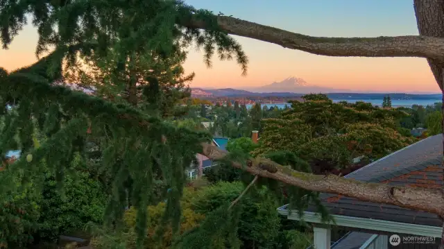 Beautiful views of Mt Rainier