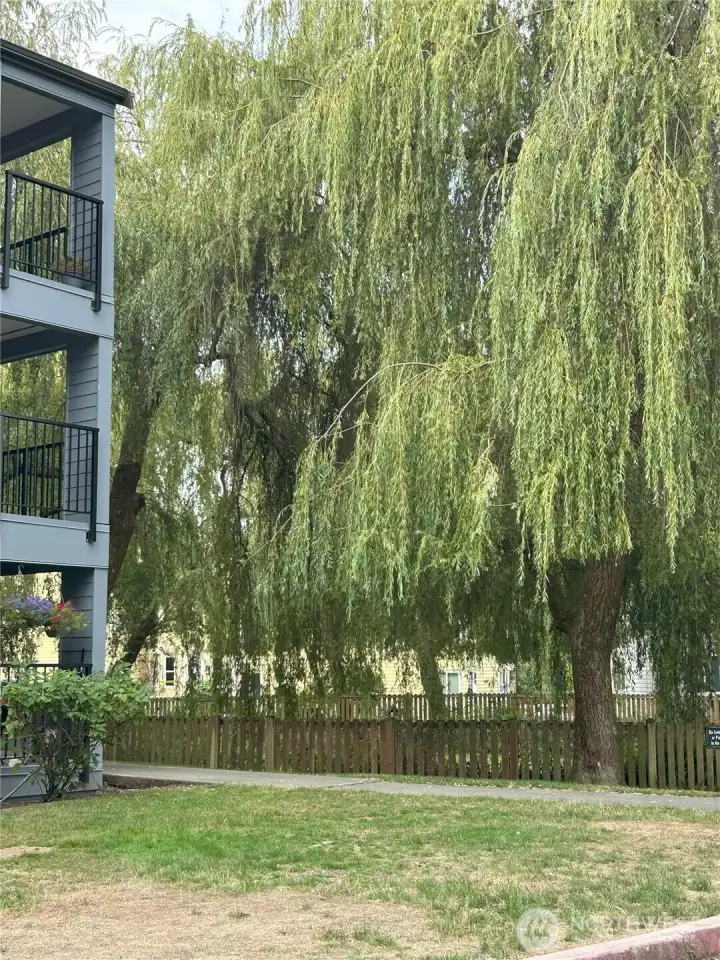 Private Common Areas