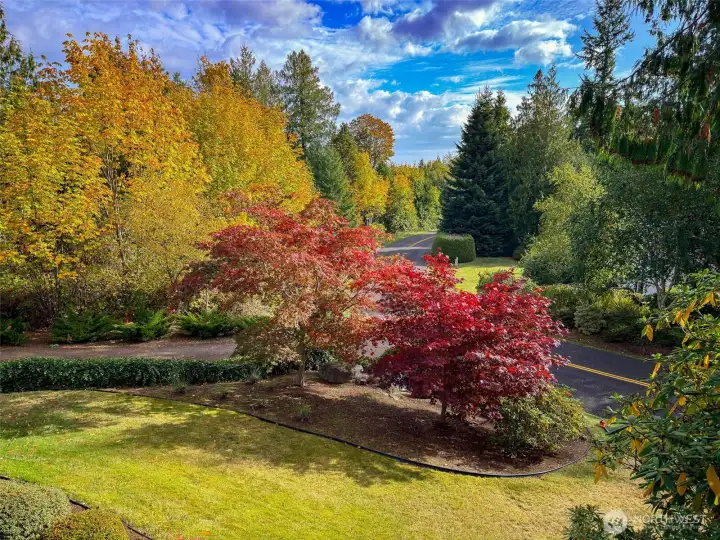 View from living room deck, On a clear day there is a mountain view