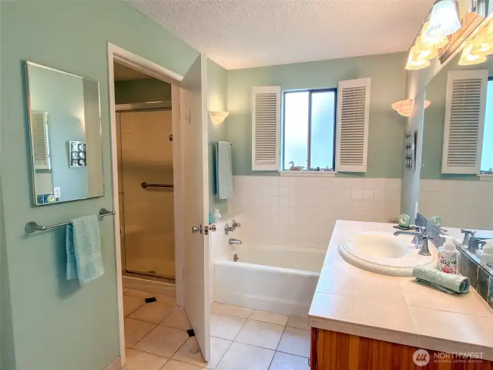 Primary Bath