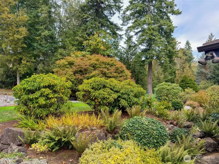 Beautiful and established grounds