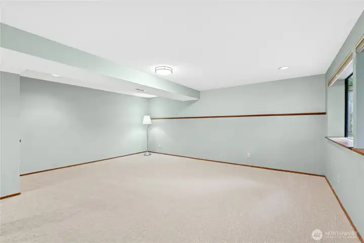 Large lower level living space perfect for movie nights or entertaining.