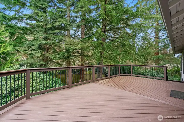Large deck space perfect for summer gatherings and outdoor dining.