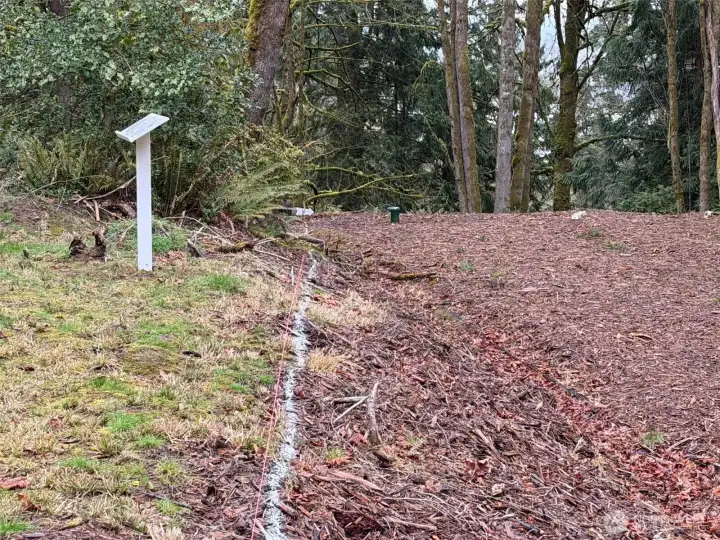 Site plan display and well casing in the distance. Left of white line is the 50-foot front setback. To the right of the line is the beginning of the approved building site.