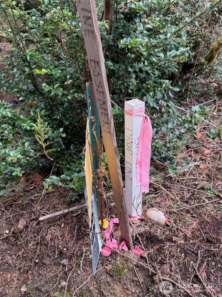 Property line at entrance to parcel