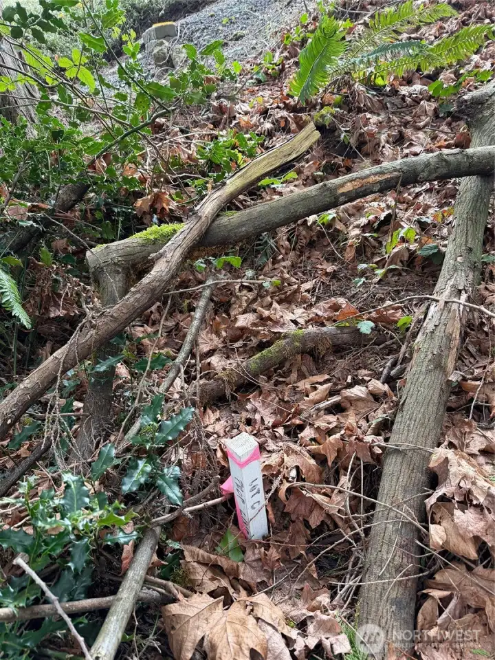 South property line midpoint stake