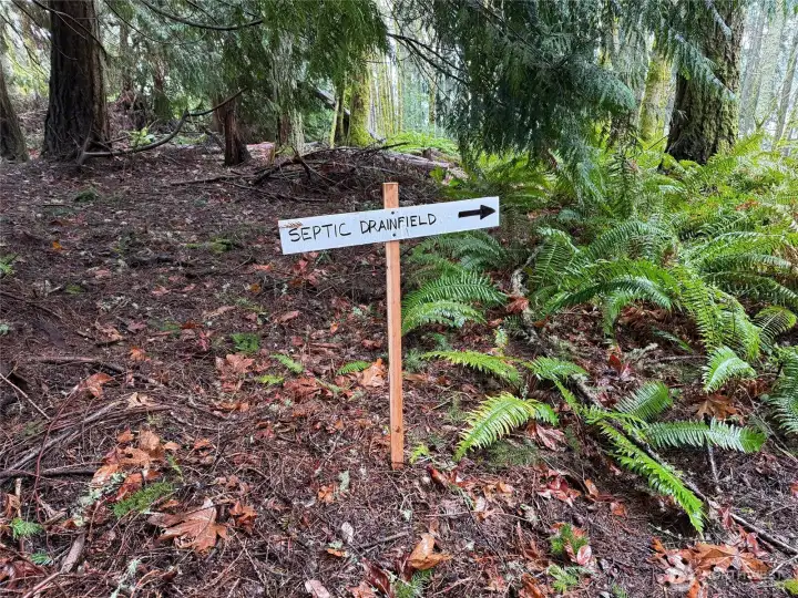 See location on the APPROVED site plan photo.