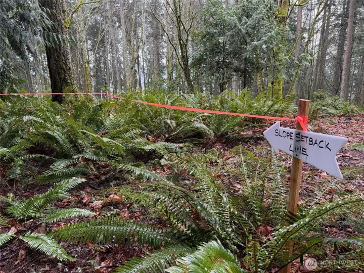 Close to the end of the slope setback line.