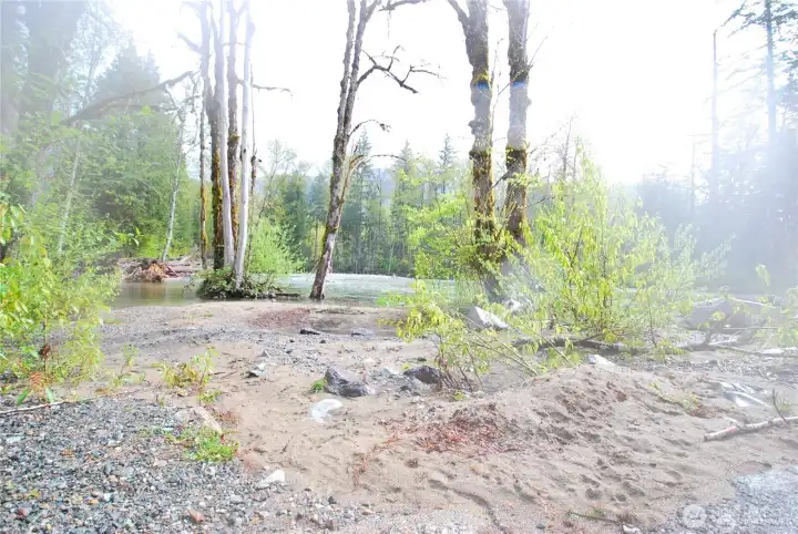 At the end of Money Creek, you'll find the Skykomish river with superb swimming spots, beach areas and adventure trails. It's just a short stroll down the street.