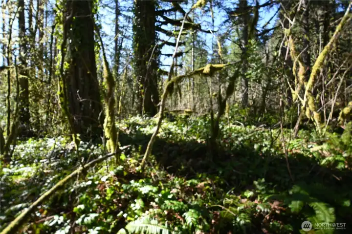 Elevated areas to create a personal escape.