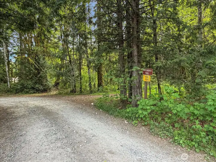 Whitehorse Trail access offers 27 miles or old railroad grade trail from Arlington to Darrington.