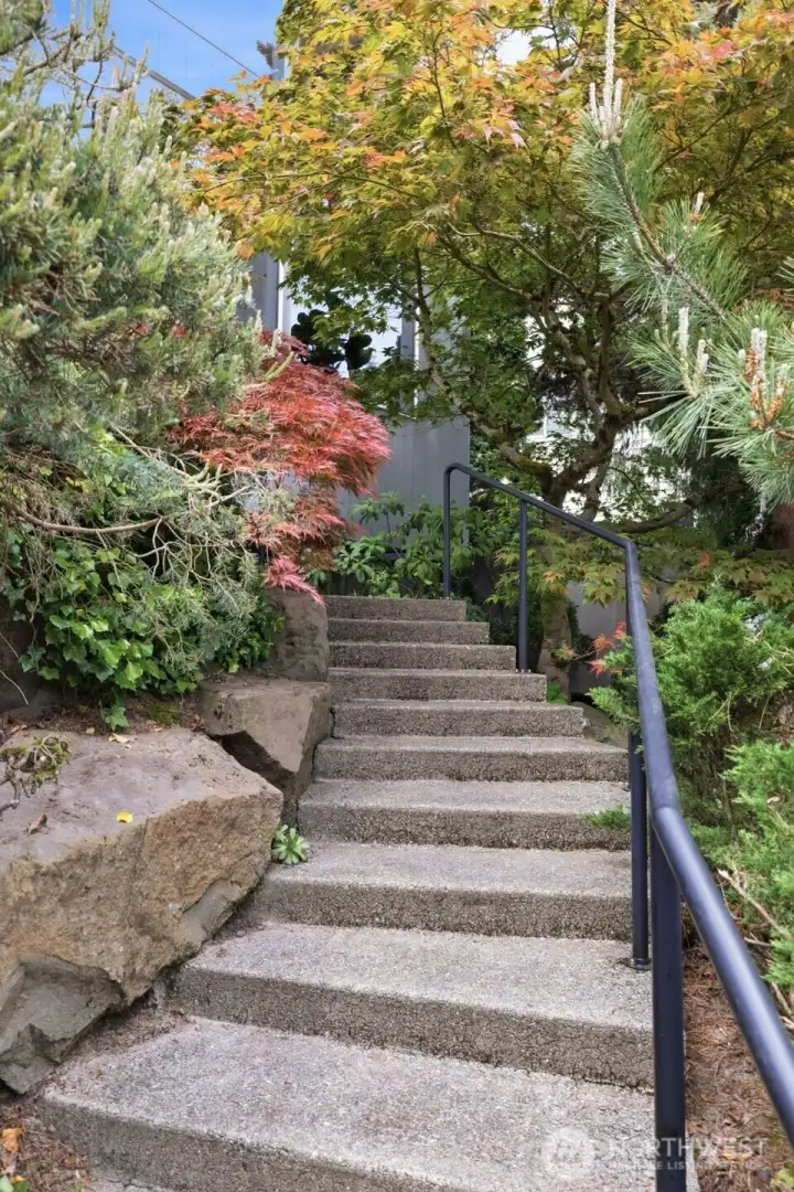 Mature Pines and Maples frame the entrance.