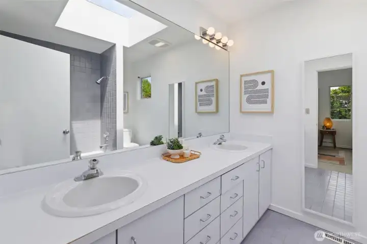 Primary bathroom with skylight.