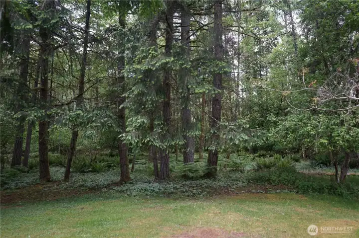 The beautiful forested area bordering the property is owned and maintained by the Sunwood Lakes HOA.